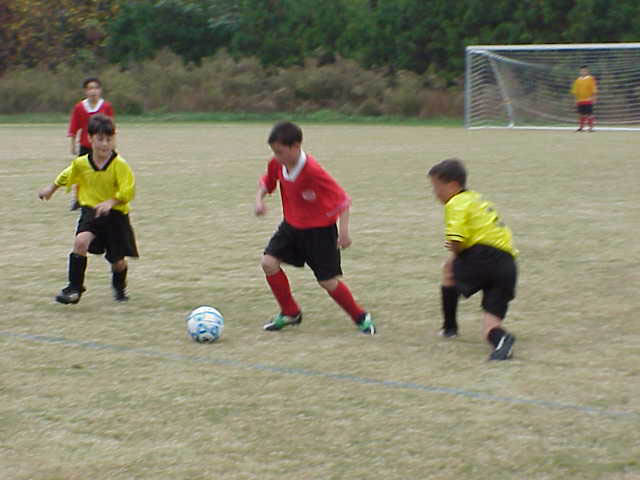 MVC-008S