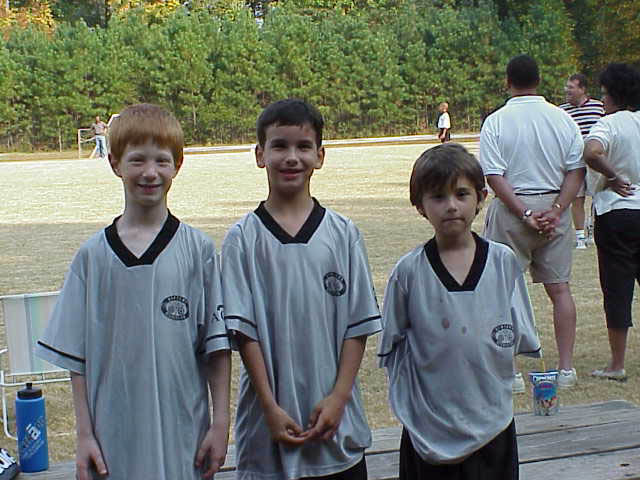 3Tigers